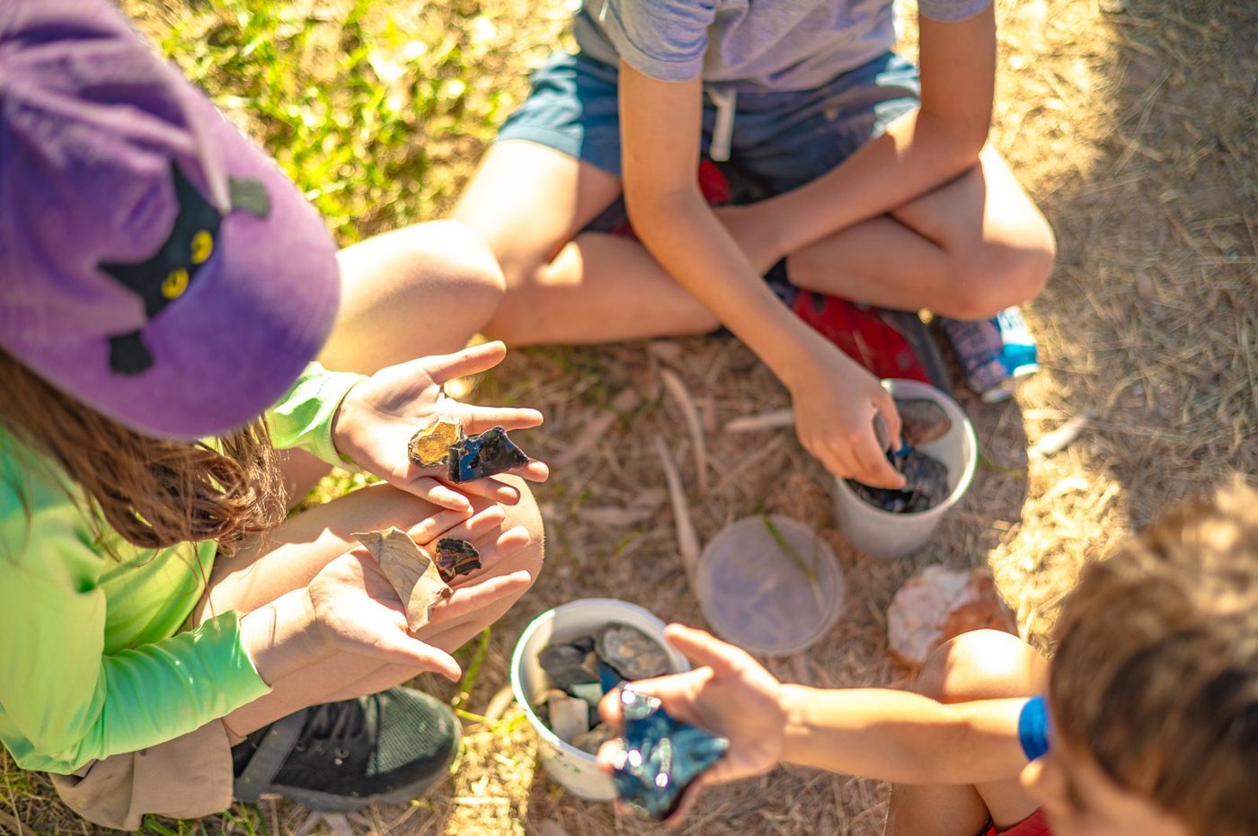 Campers examining their desert finds